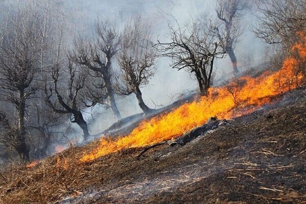ببینید | ادامه آتش سوزی گسترده در مراتع شهر پاوه کرمانشاه