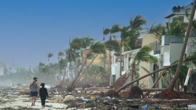 Disaster Resilience Research