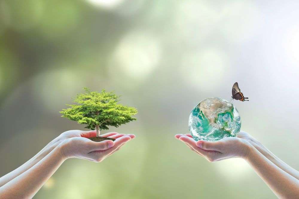 مسیر تابآوری: از خانواده تا جامعه