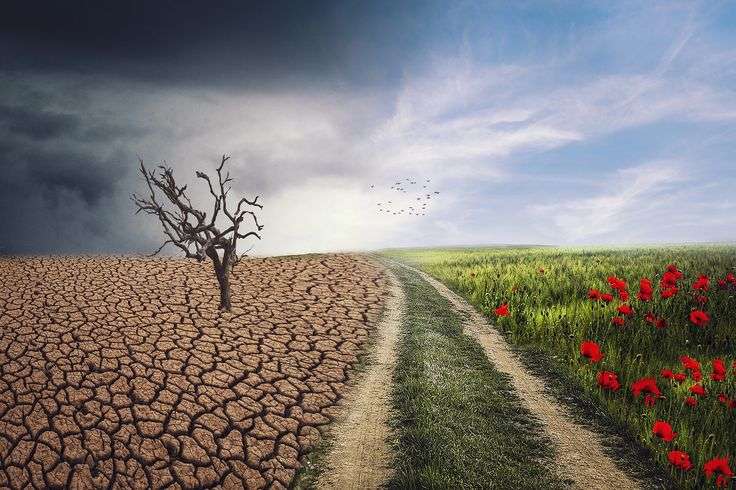 دیده شدن یا استیصال؟ نگاهی به پویشها و همایشها